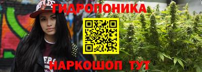 прущие грибы Кинель